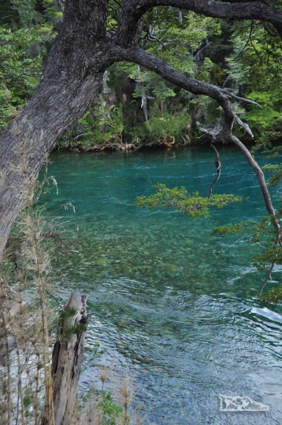 Rio de águas verdes e transparentes no Parque Nacional Los Alerces, ao norte de Trevelin, na patagônia argentina